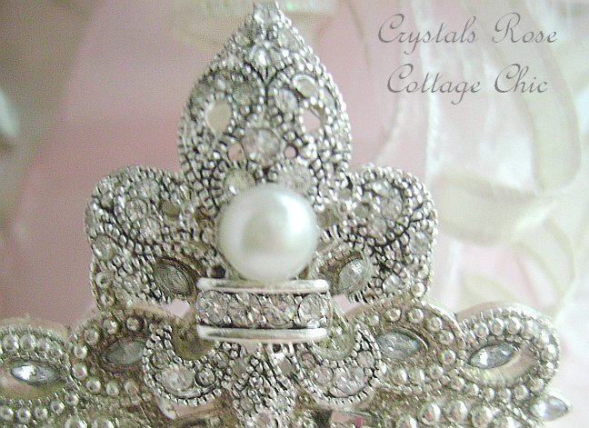 Fleur de Lis Embellished Frame