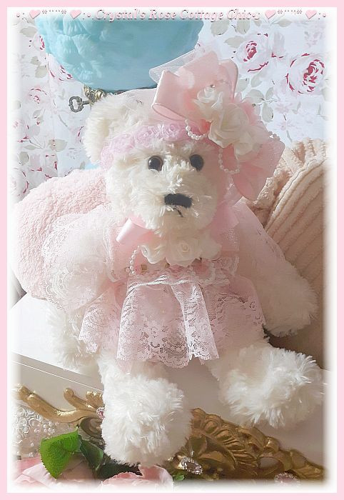 Little Darlin' Bear